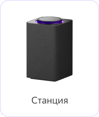 Алиса Макс Купить В Спб