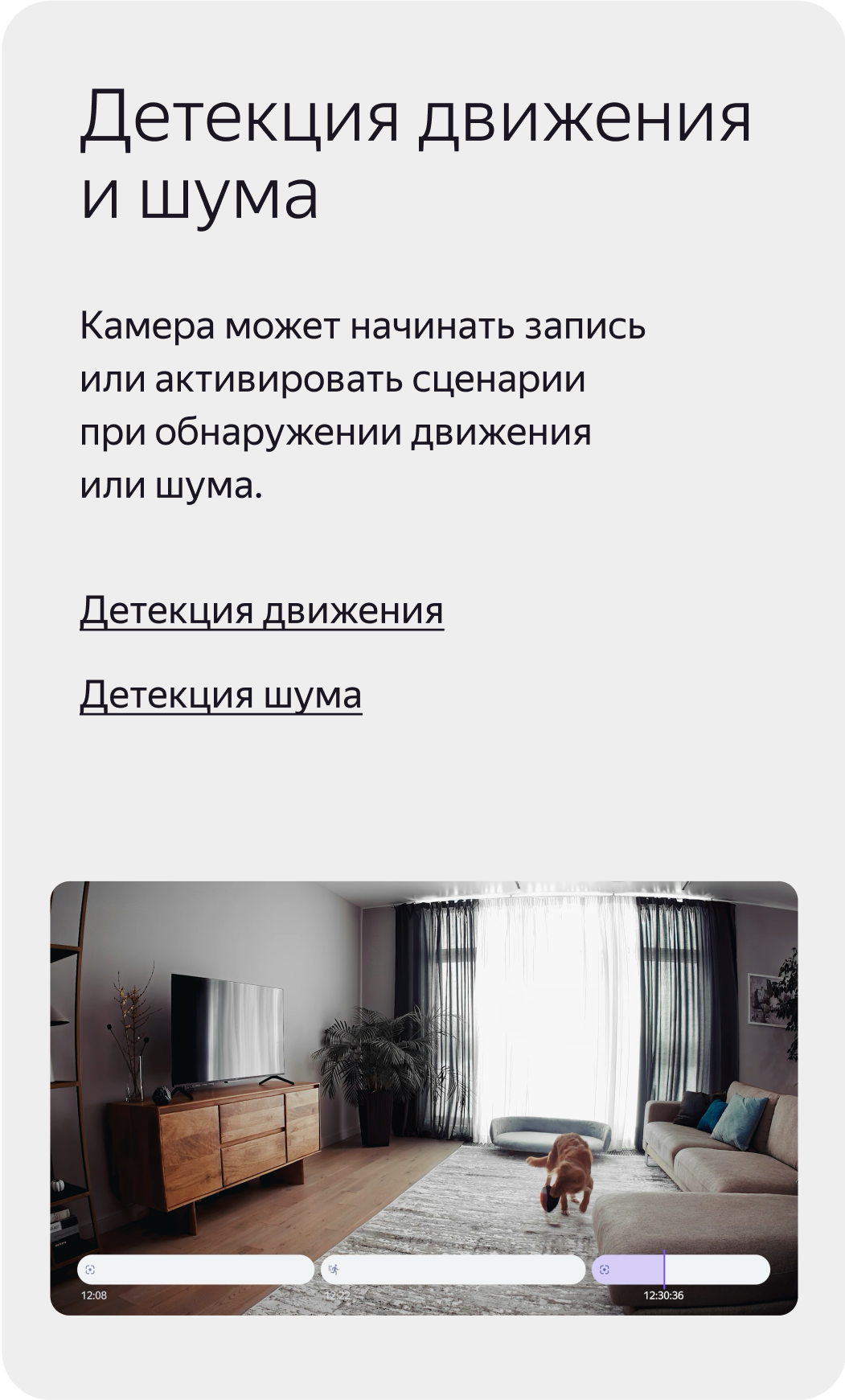 Детекция движения и шума. Камера может начинать запись или активировать сценарии при обнаружении движения или шума.