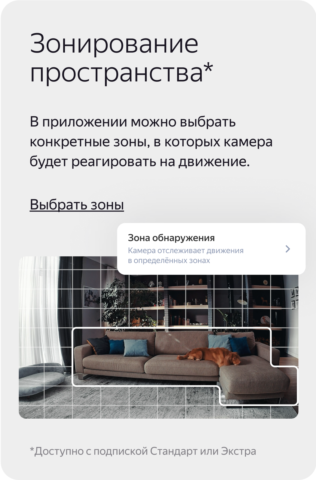 Зонирование пространства. В приложении можно выбрать конкретные зоны, в которых камера будет реагировать на движение. 